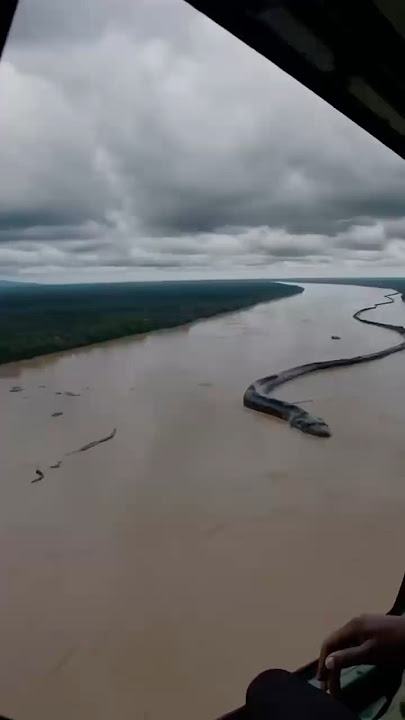 Top 10 DEADLIEST Jungle Monsters 😱