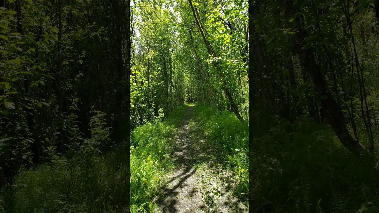 Quesnel Trails YouTube