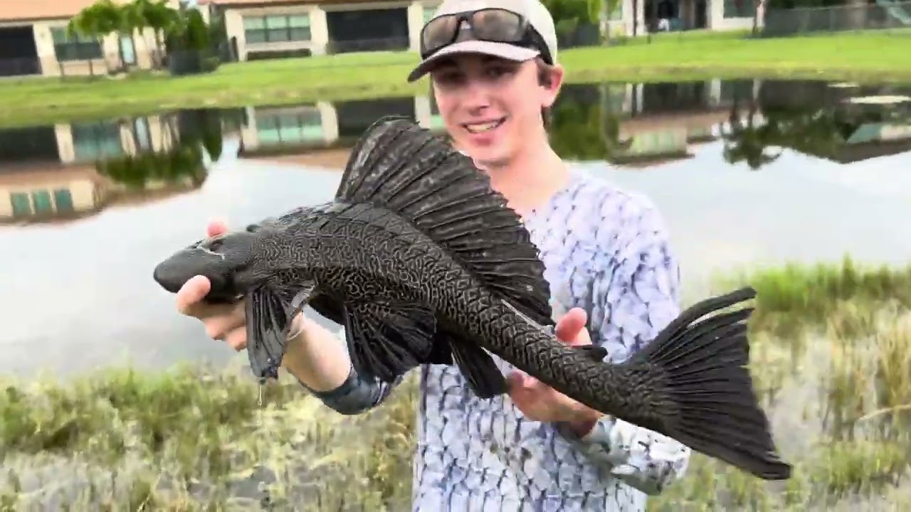 BASS FISHING PRODUCTIONS Saving Fish LIVING in ABANDONED POOL!!!