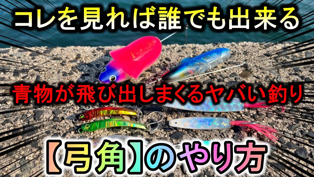 初心者でも簡単に青物を水面爆発させるヤバい釣り…「弓角」のやり方を教えます【ジェットロー】