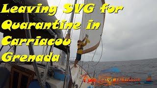 Sailing from SVG and Quarantine in Carriacou Grenada S5Ep21