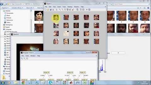 Prune Tree based People Counting in Videos Matlab based on LBP features