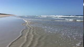 IMG 5876