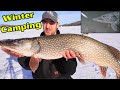 Big manitoba pike and walleye ice fishing winterice camping