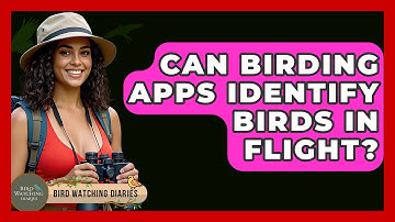 Can Birding Apps Identify Birds In Flight? - Bird Watching Diaries