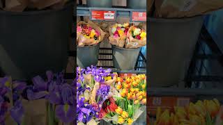 Lidl Flowers #flowers #lidl