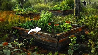 7 Mistakes to Avoid for a Successful  Raised Bed Garden Harvest