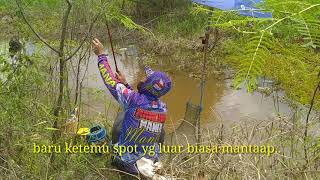 Mancing papuyu \