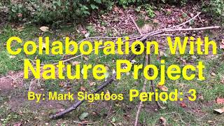 Collaboration With Nature Project