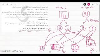 تمرين شامل على طريقة رسم شجرة النسب