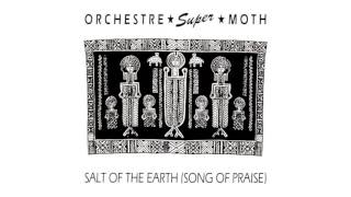 Orchestre Super Moth  : Salt Of The Earth (Radio Edit) 1988