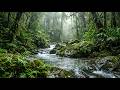 Sleep with the Sound of a Forest River | Relaxing Water Stream for Deep Rest