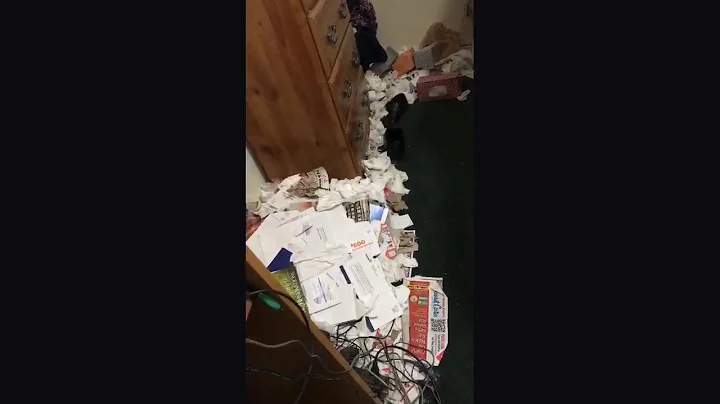 LeAnne Cunningham Live Stream