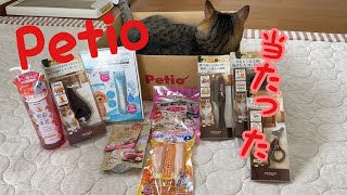 Petioのキャンペーンに当選！猫グッズ紹介します。