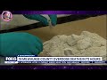 17 Overdose Deaths in 72 Hours!?! 😲 Milwaukee Has A Problem!