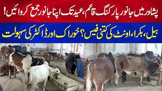 Eid Animal Parking Introduced with Food and Veterinary Services - How much Fee per Animal?