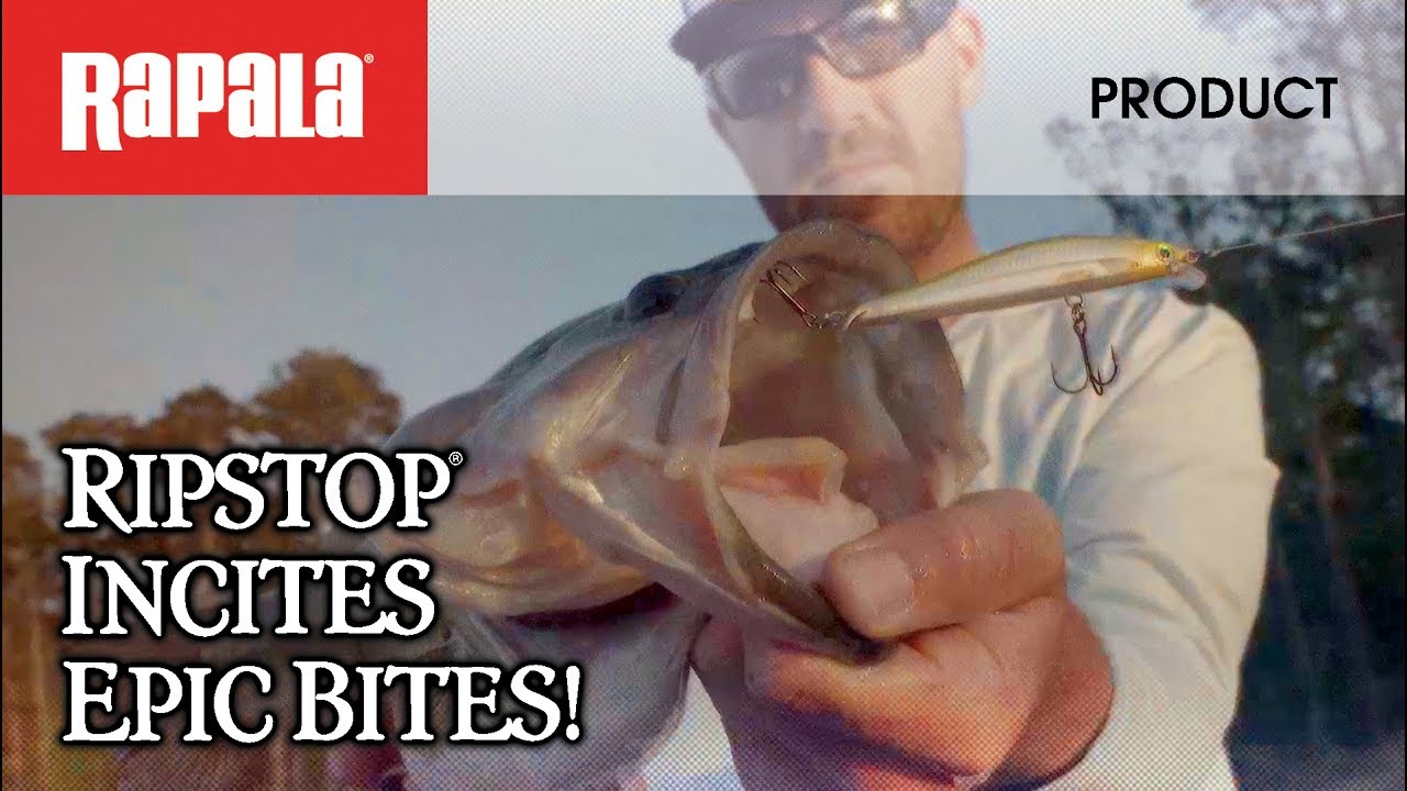 Fast-Ripping, Hard-Stopping. Rapala® Ripstop® Incites Epic Bites