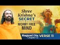Shree krishnas secret to a worry free mind  the power of living in the moment  swami mukundananda