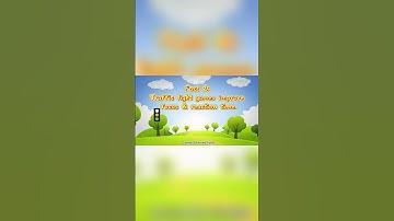 BBS41 assignment1 part1