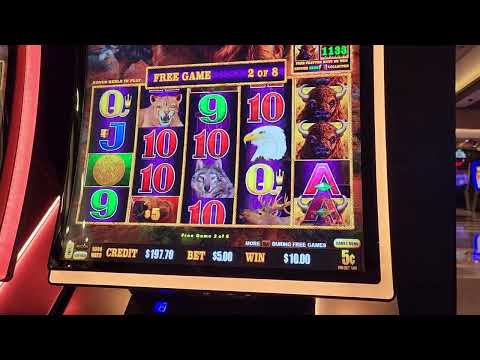 Miss Slot Adventure continues her run on Dragon link & Buffalo Link