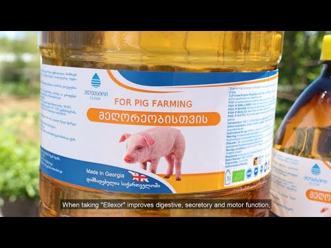 \"ელექსირის\" გამოყენება მეღორეობის ფერმაში