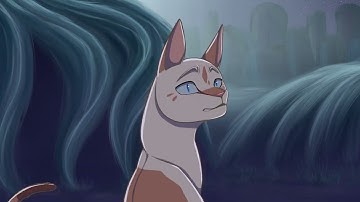 TEETH// map part 5 #TEETHmapNNA