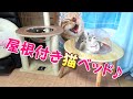 【宇宙船猫ハウス】透明ボウル第二弾