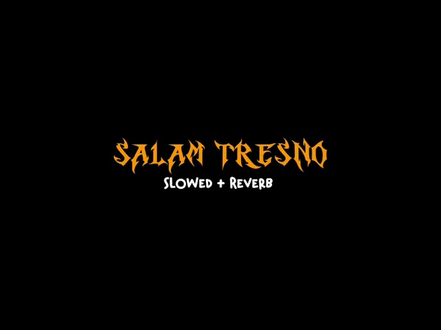 Salam Tresno - Dessy Rafaella ( Slowed + Reverb ) class=