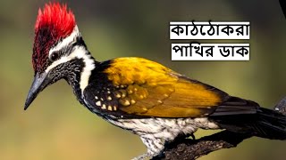 Jinsiy porno m/f Jinsiy aloqa haqida film tomosha qiling