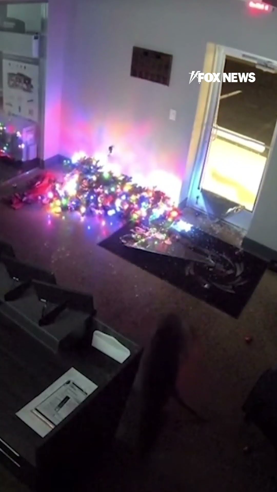 Deer crashes through glass door of business, knocks down Christmas tree ? ?