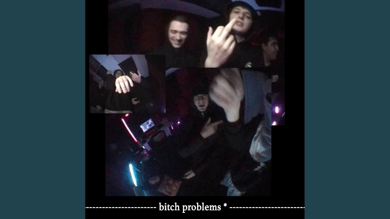 Bitch problems