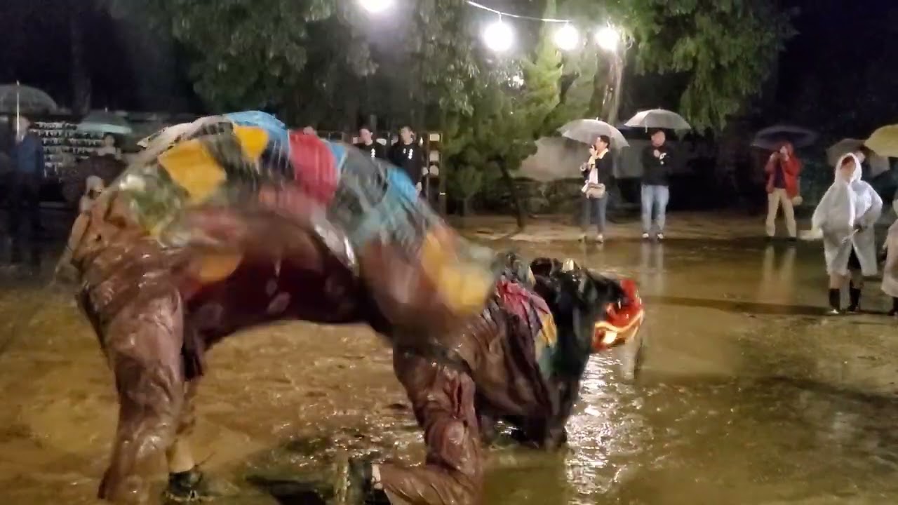 20241008 白鳥神社　大獅子