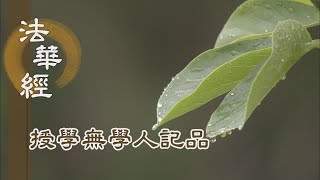 【靜思妙蓮華】法華經授學無學人記品 - 一心觀佛 待說之誡 - 20220705 第1190集