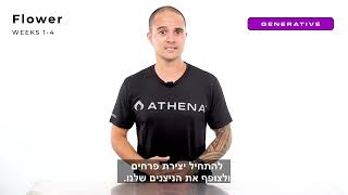 Precision Irrigation Strategy – Part 2:  Crop Steering - אתנה אסטרטגיית השקיה מכוונת מתורגם חלק 2