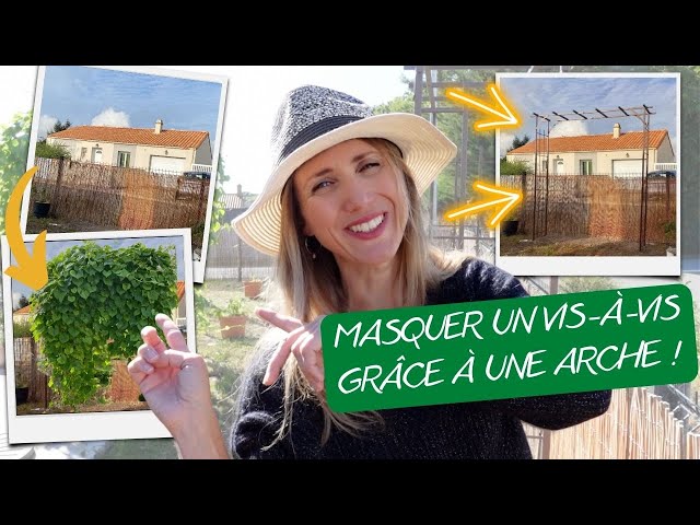 Ce légume grimpant transforme une barrière en rideau végétal sans tuteur