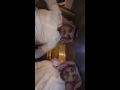 نايف ابن عرويل سناب شات 30100