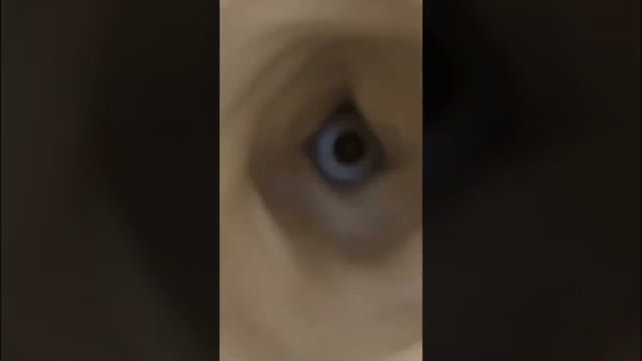 Almond Milk Recipe (The easiest way) | Food Chor Recipes | Easy Almond Milk Recipe | Gluten Free