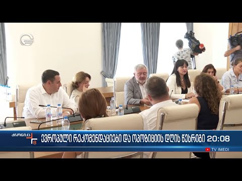 ვროლპული რეკომენდაციები და ოპოზიციის დღის წესრიგი