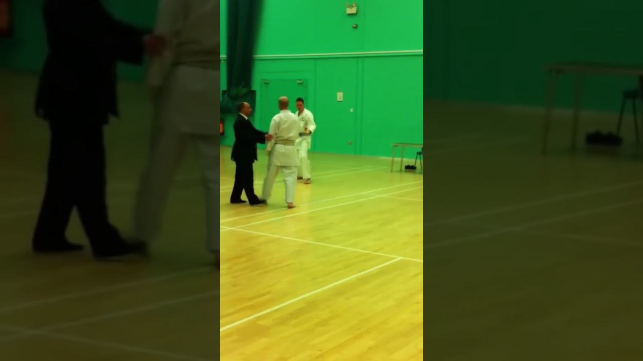 Spinning kick #karate #wkf #mma #budo #ippon #jka #ufc #jkakarate #karatecombat #kumite  #loganpaul