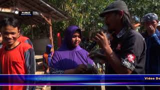 Download Lagu LAKI DADI RABI | ANDI PUTRA | Drunten Kulon - Gabus Wetan - Indramayu :: Selasa, 19 September 2017 MP3