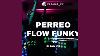 PERREO FLOW FUNKY