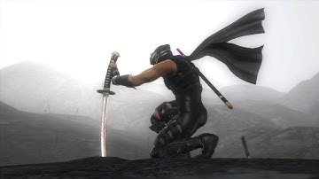 Ninja gaiden 1 on android Yuzu emulator snapdragon 845