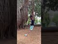 Banyan Tree Aiyyanar Kovil 