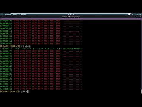 Reversing - What's the Password: Revisited - RiceTeaCatPanda CTF [Walkthrough]