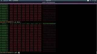 Reversing - What's the Password: Revisited - RiceTeaCatPanda CTF [Walkthrough] Net Worth