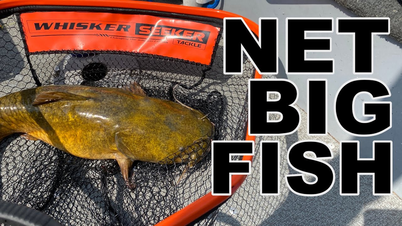 best fly fishing pole Sensitivity in a Fly Rod - Two Very Different Ways