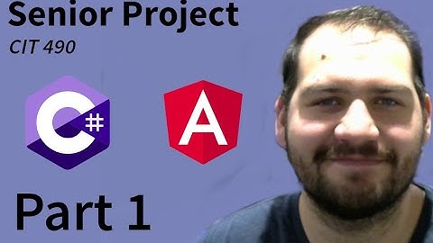Senior Project: Part 1(C# API & Swagger documentation)