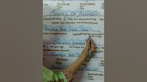 Class 3 EVS Ch-7 Animals Around Us