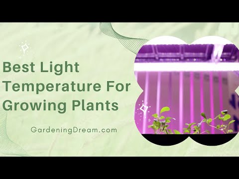 Best Light Temperature For Growing Plants