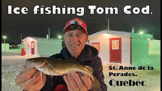 2023 St Anne de la Perade Tom Cod Adventure.